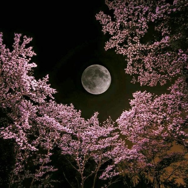 Луна весной